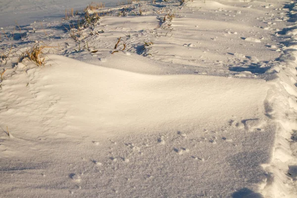 Nieve en primer plano —  Fotos de Stock