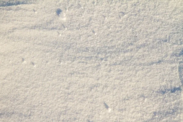 Sneeuw in close up — Stockfoto