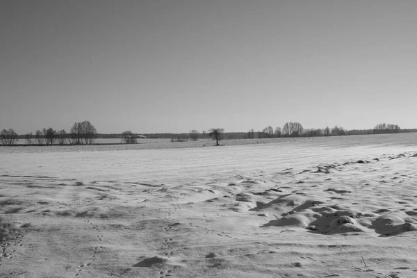 Eine Winterlandschaft — Stockfoto