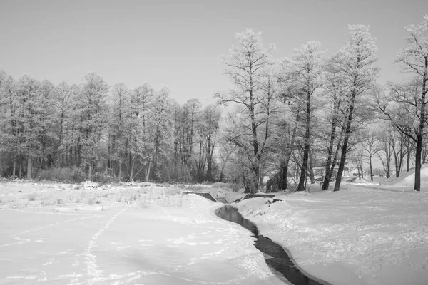 Eine Winterlandschaft — Stockfoto