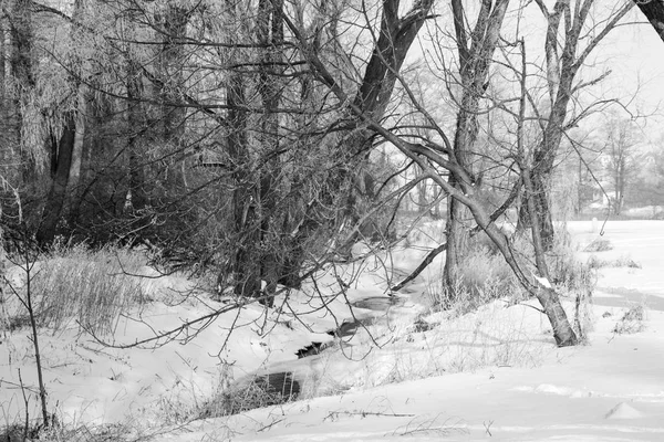 Un paisaje invernal —  Fotos de Stock
