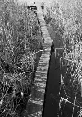 küçük bir köprü