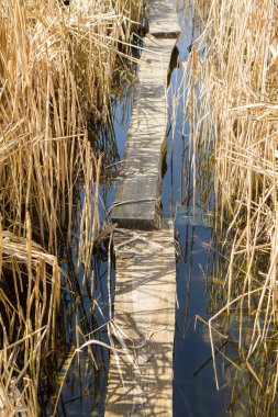 küçük bir köprü