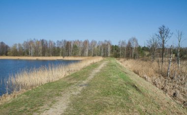 Lakeside bazı reed ile