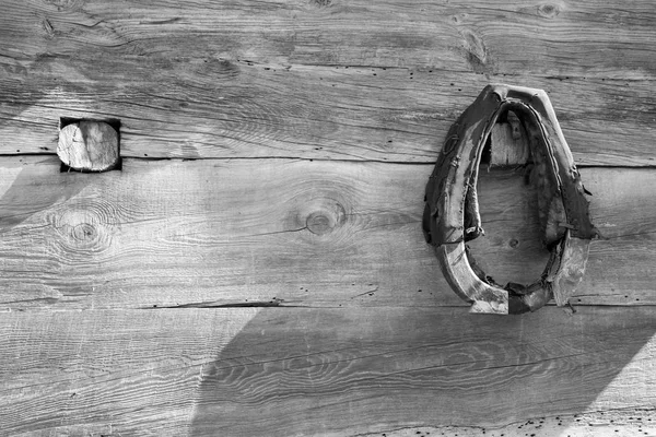 Uma velha coleira de cavalo — Fotografia de Stock