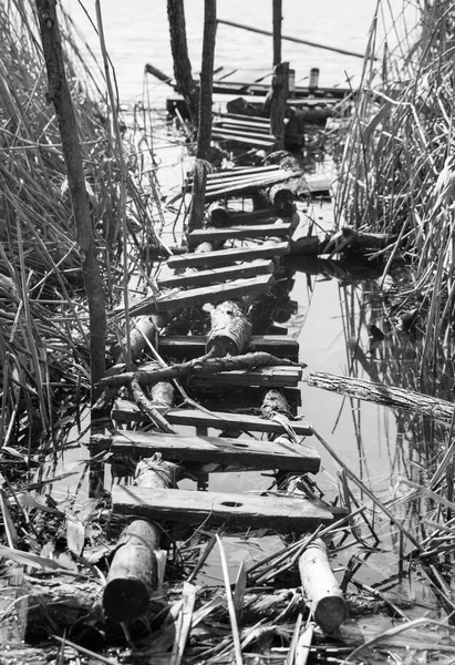 Un petit pont tordu — Photo