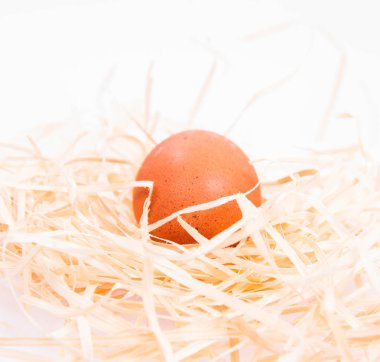 Saman üzerinde tavuk yumurta