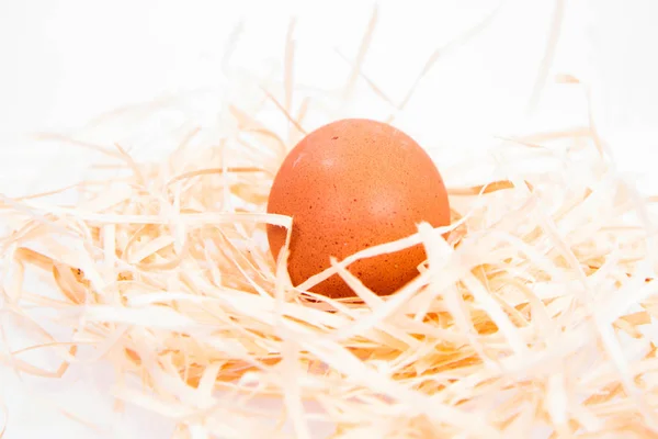 Huevo de pollo sobre heno —  Fotos de Stock