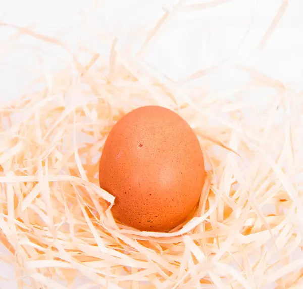 Chicken egg on hay — Stock Photo, Image