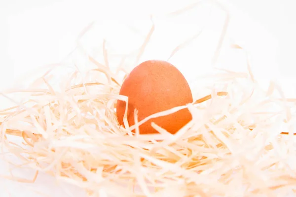 Huevo de pollo sobre heno — Foto de Stock