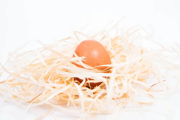 Saman üzerinde tavuk yumurta — Stok fotoğraf