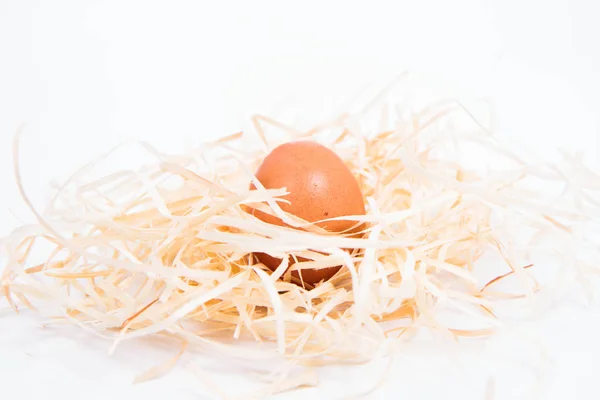 Huevo de pollo sobre heno —  Fotos de Stock