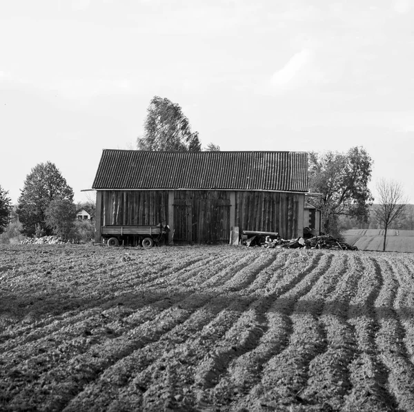 Een houten balk — Stockfoto