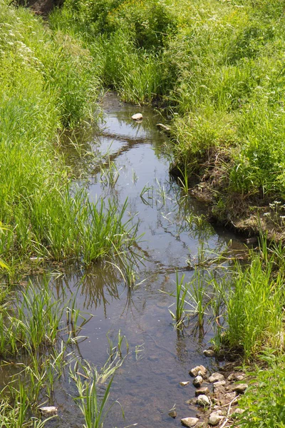 En liten ström — Stockfoto