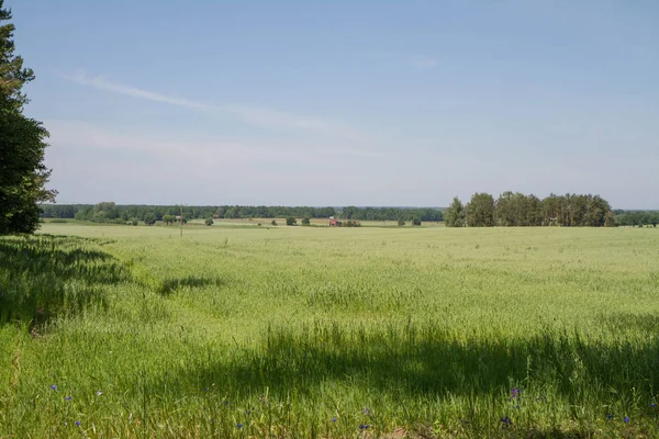 Vista de um campo — Fotografia de Stock