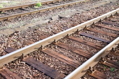 Tren yolu