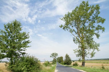 Bir yaz gününde alanları arasında bir yol