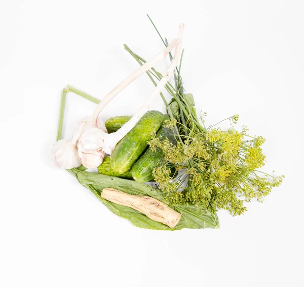 Інгредієнти Приготування Відварених Огірків Огірки Часник Кріп Хрін — стокове фото