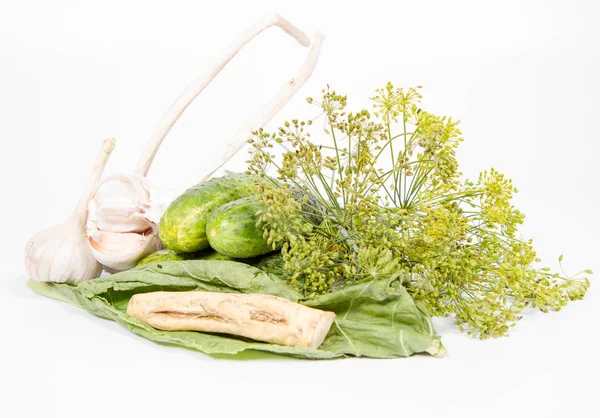 Ingredients Making Brined Pickles Cucumbers Garlic Dill Horseradish — Stock Photo, Image