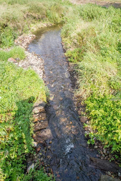 Ein Bach Einem Sommertag — Stockfoto