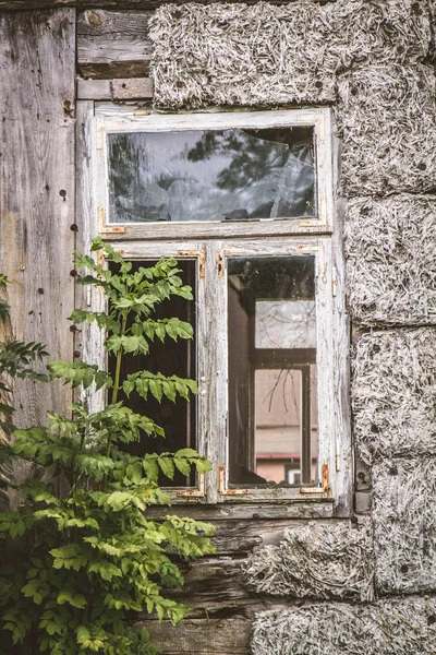 Una finestra rotta — Foto Stock