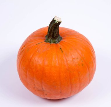 beyaz arkaplanda balkabağı