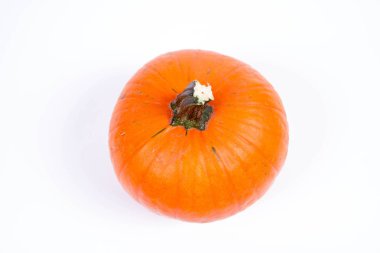 beyaz arkaplanda balkabağı