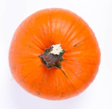 beyaz arkaplanda balkabağı