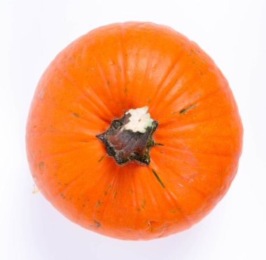 beyaz arkaplanda balkabağı