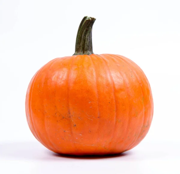 Calabaza Sobre Fondo Blanco —  Fotos de Stock