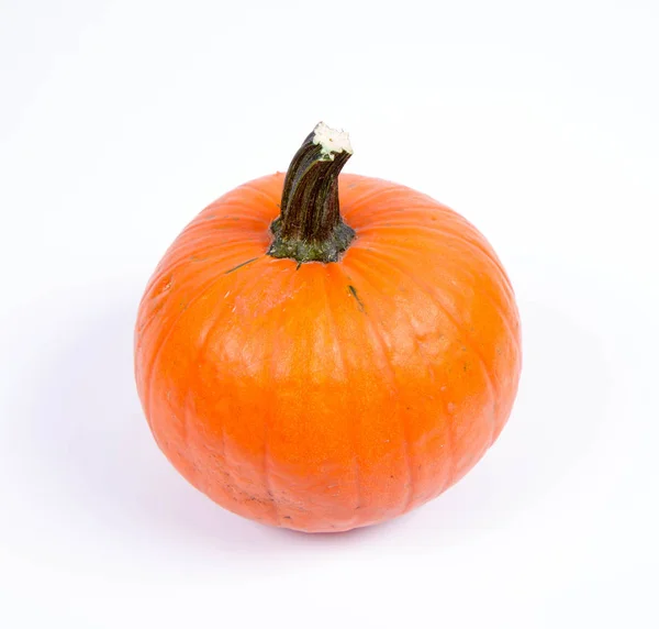 Calabaza Sobre Fondo Blanco —  Fotos de Stock