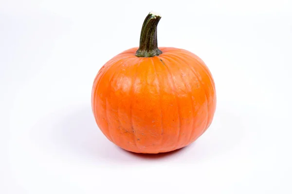 Pumpa Vit Bakgrund — Stockfoto