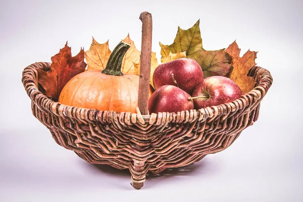 Beyaz bir arka plan üzerinde sepet dolu bir kabak ve elma ile bazı akçaağaç yaprakları