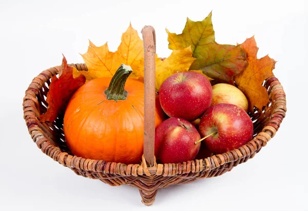Beyaz bir arka plan üzerinde sepet dolu bir kabak ve elma ile bazı akçaağaç yaprakları