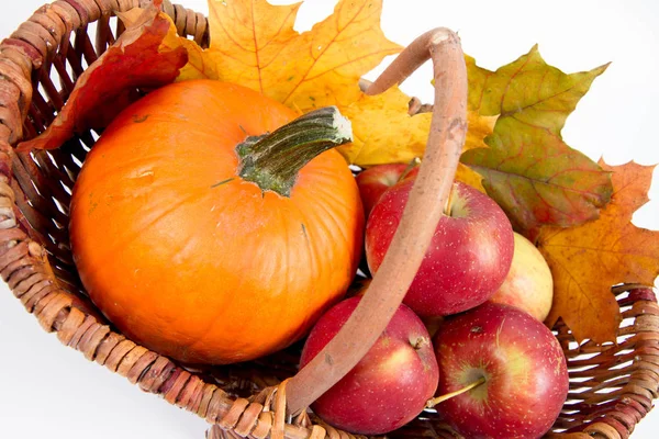 Korb Voller Äpfel Und Ein Kürbis Mit Ein Paar Ahornblättern — Stockfoto