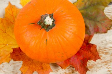 Kabak ve ahşap arka plan üzerinde sonbahar akçaağaç yaprağı