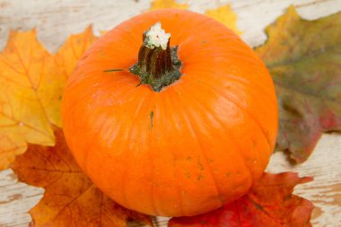 Kabak ve ahşap arka plan üzerinde sonbahar akçaağaç yaprağı