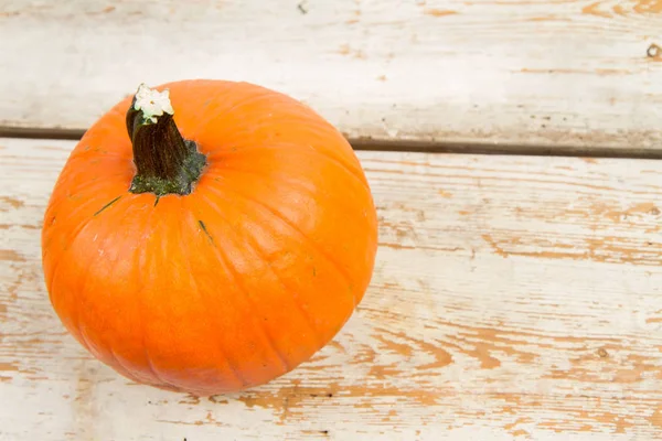 Pumpkin Wooden Background — Stock Photo, Image