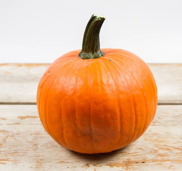 Calabazas en blanco —  Fotos de Stock