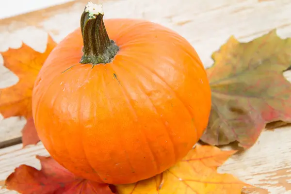 Kabak ve ahşap arka plan üzerinde sonbahar akçaağaç yaprağı
