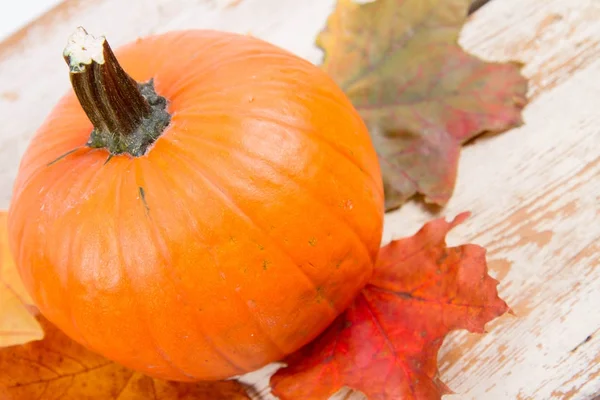 Pumpkin Autumn Maple Leaf Wooden Background — Stock Photo, Image