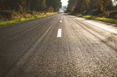 Ağaçlar sonbahar ışık çevrili yol