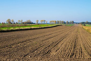 Alanların görünümde sonbahar