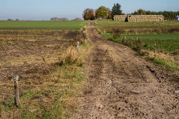 Widok Pola Jesienią — Zdjęcie stockowe