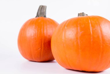Pumpkins on white