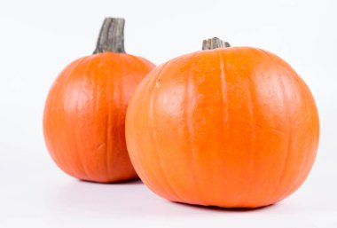 Pumpkins on white
