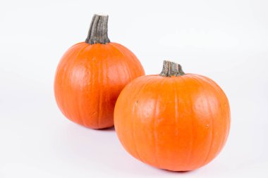 Pumpkins on white