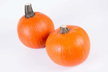 Pumpkins on white