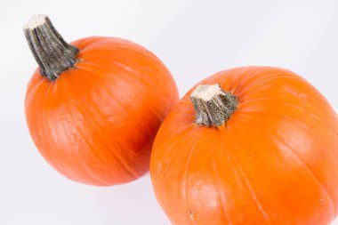 Pumpkins on white