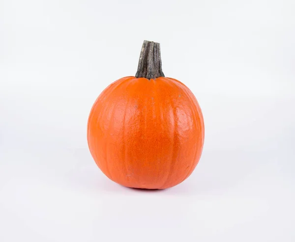 Calabaza en blanco — Foto de Stock